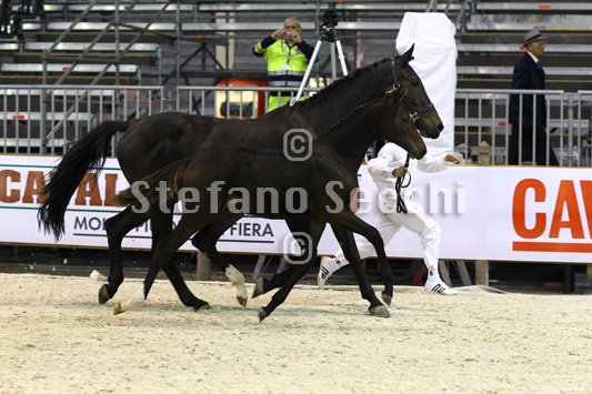 PRINCESS LIESA_MILANO_2010_SS3_7466.jpg